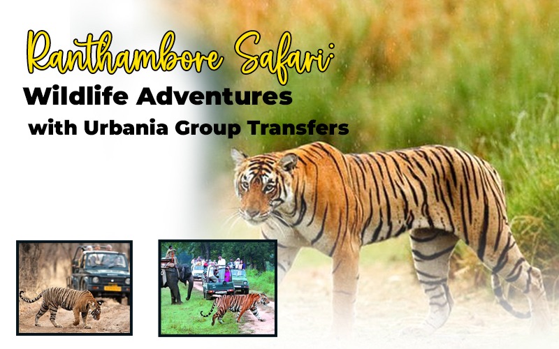 Ranthambore Safari  Wildlife Adventures with Urbania Group Transfers